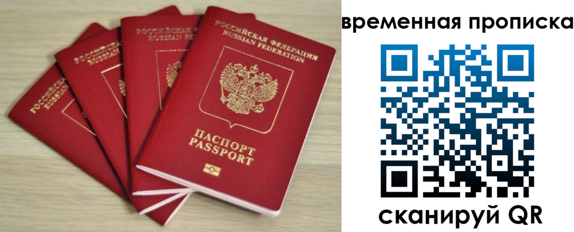 прописка для школы в Шатуре